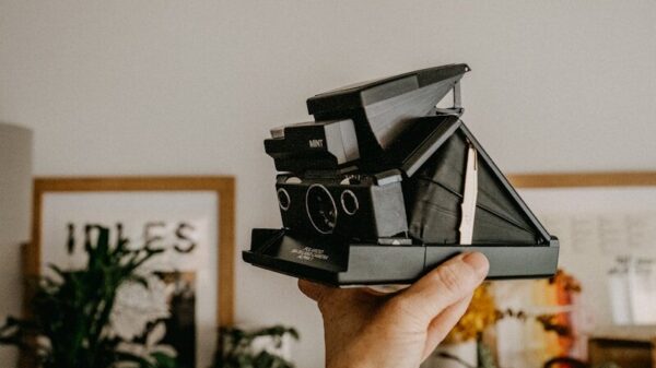 person holding black and gray camera