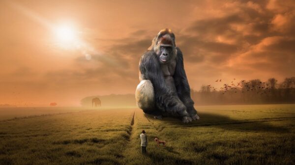 animal, gorilla, ape, primate, herbivore, silver back, sunset, dusk, evening, dawn, landscape, grass, nature, outdoors, people, sunlight, sunrise, dream, huge, gigantic, mysterious, kingkong, brown nature, brown animals, brown landscape, brown sunset, brown sunrise, brown grass, brown dream, brown natural, gorilla, gorilla, gorilla, gorilla, gorilla, dream