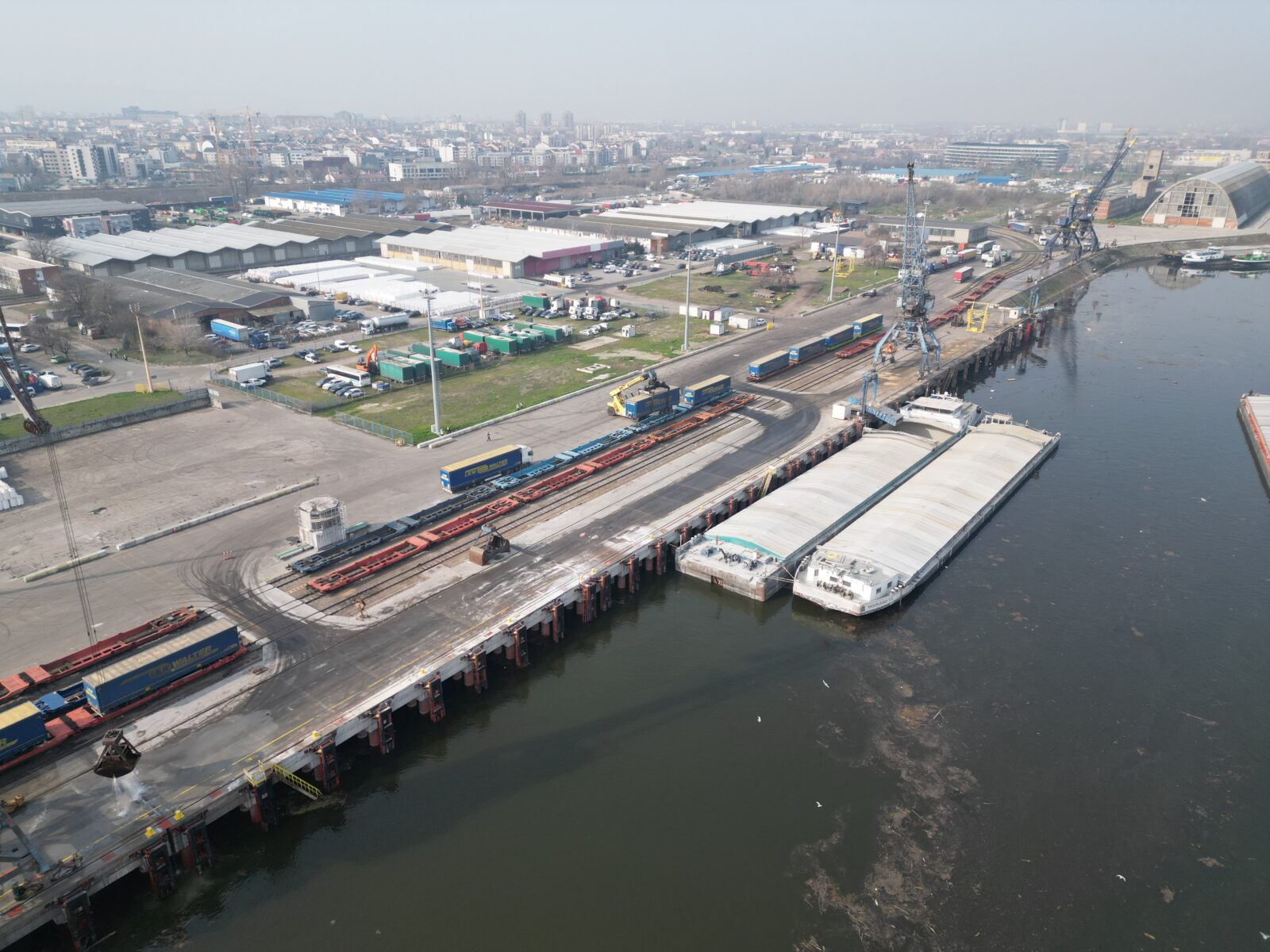 Novi Sad, Kompanija DP World