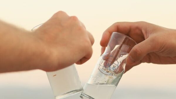 Two hands clinking glasses of raki against a scenic Muğla ocean view during sunset.