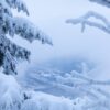 Tranquil winter scene with snow-laden trees in a mountainous landscape.
