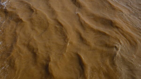 Aerial view of a muddy river with brown sediment, showcasing natural erosion and water movement.