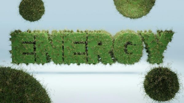 3D render of the word 'ENERGY' covered in grass, symbolizing green energy and sustainability.