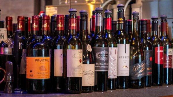 A variety of wine bottles elegantly displayed at a bar, including red, white, and sparkling wines.