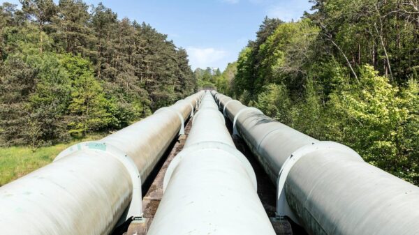 Large industrial pipeline traversing through a green forest in Geesthacht, Germany.