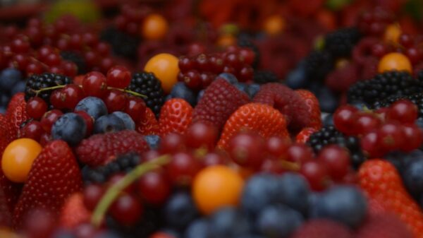 bunch of raspberry and grapes
