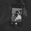 Black and white image of a dog displayed on smartphone held in hand.