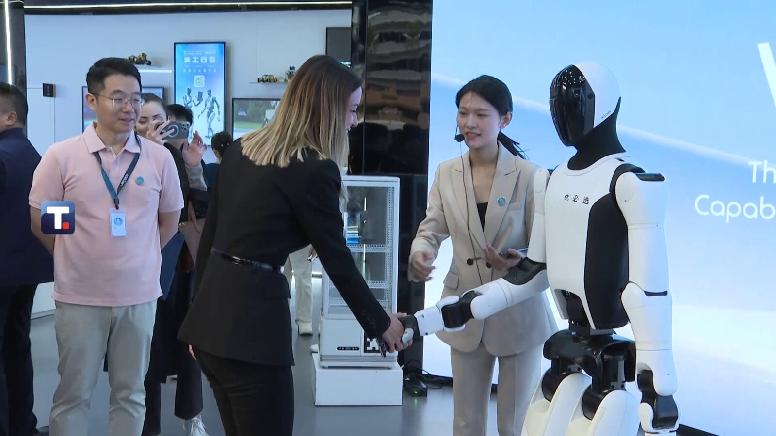 Andrijana Mesarović, roboti