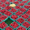 Abundant raspberry baskets at a local outdoor market, vibrant red and ready to savor.