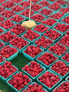 Abundant raspberry baskets at a local outdoor market, vibrant red and ready to savor.