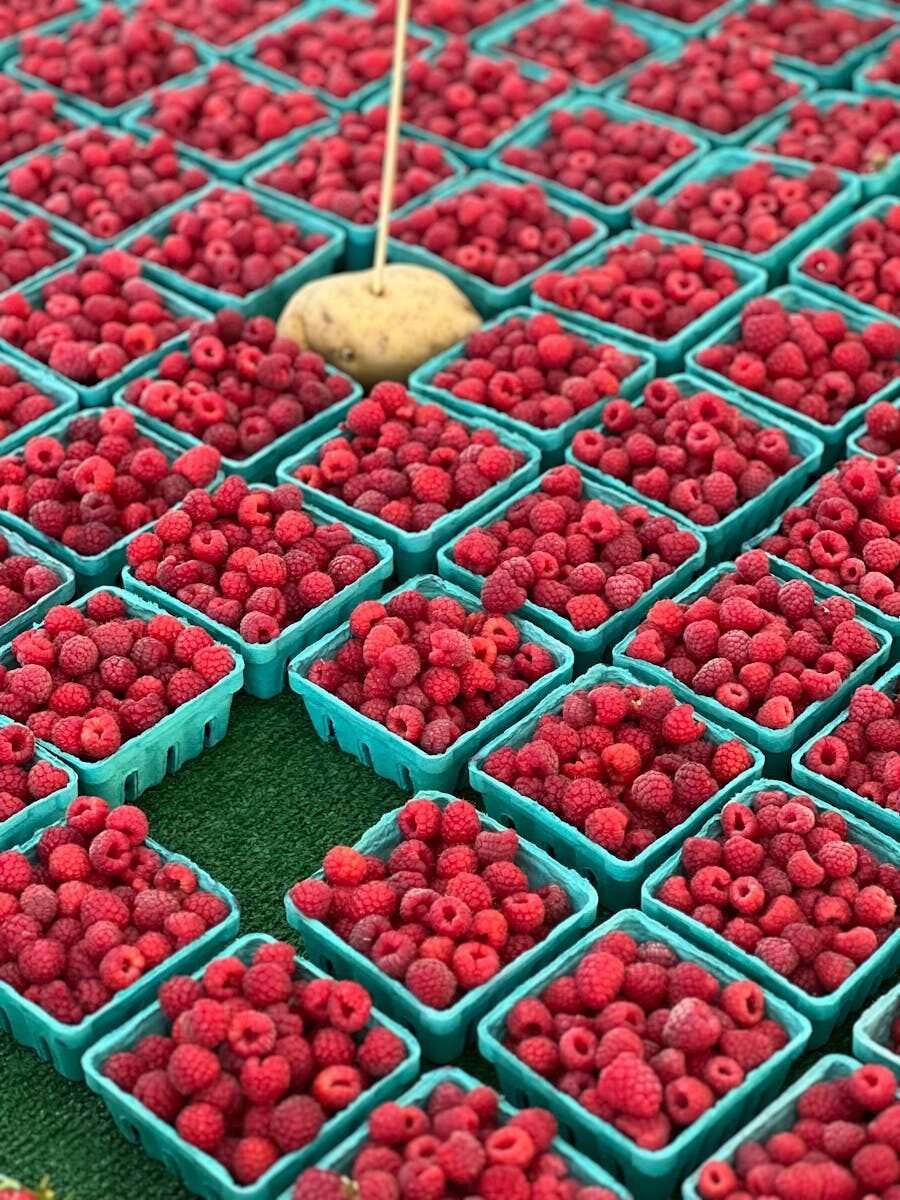 Abundant raspberry baskets at a local outdoor market, vibrant red and ready to savor.