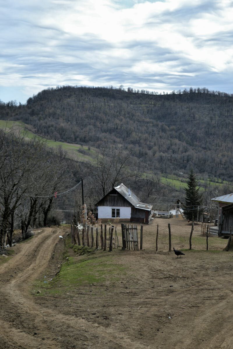 Tranquil rural village with wooden houses in a mountain landscape.