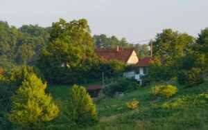 Idyllic countryside view of a village with lush green trees and rustic houses in warm daylight.