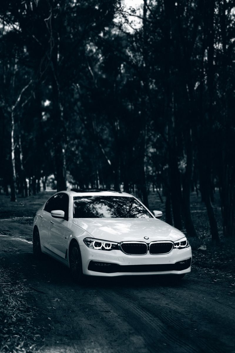 A stylish white BMW car driving through a serene forest path.