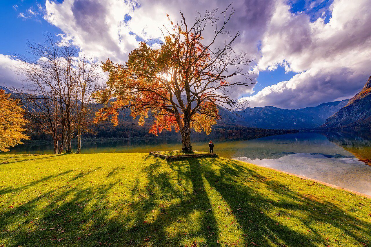 slovenija