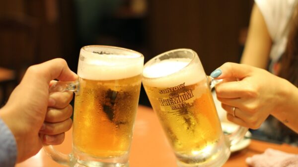 pivo