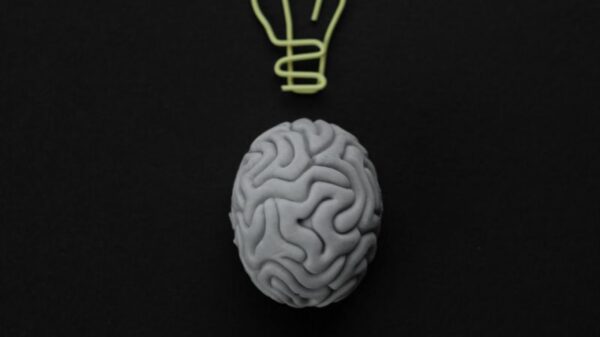 Gray brain with light bulb symbol on black background representing intelligence and creativity.