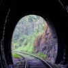 Curved railway tracks leading through a tunnel into a lush green forest.