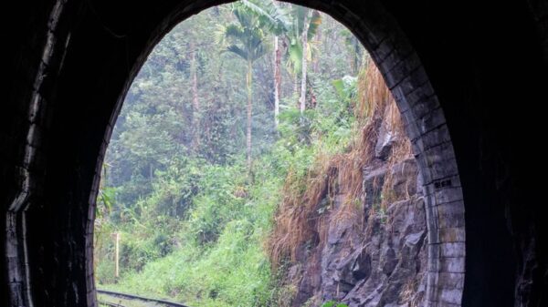 Curved railway tracks leading through a tunnel into a lush green forest.
