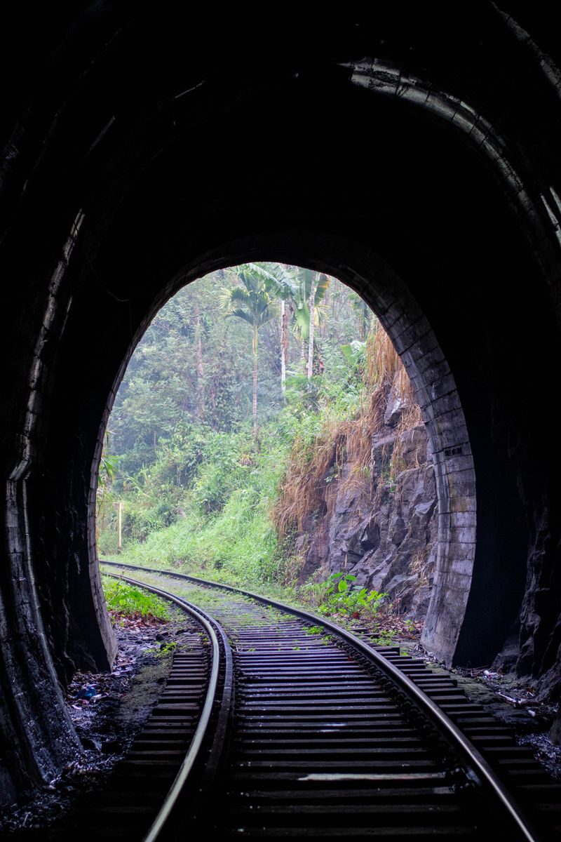 Curved railway tracks leading through a tunnel into a lush green forest.