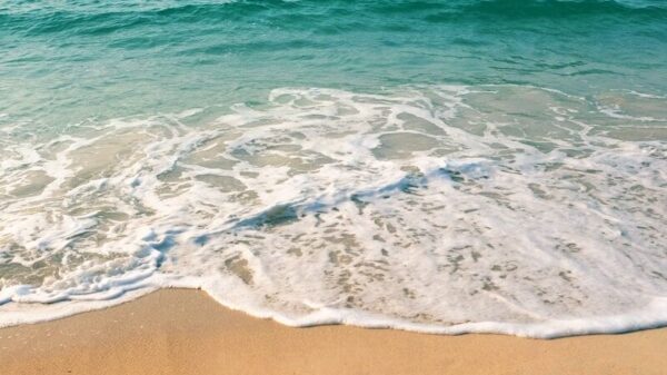 seashore under clear blue sky during daytime