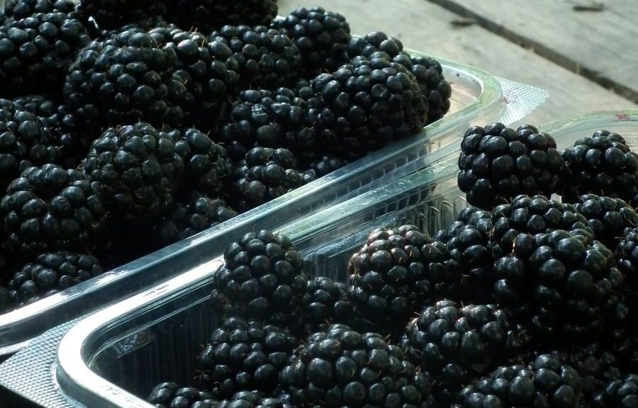 Close-up of ripe blackberries in clear plastic containers on a rustic surface.