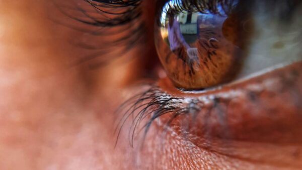 Detailed close-up of a brown eye reflecting a scene, showcasing texture and color.