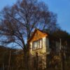 A rustic house with an orange roof sits under a large tree against a vivid blue sky.