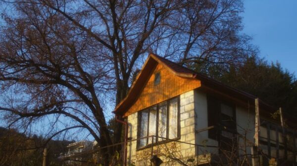A rustic house with an orange roof sits under a large tree against a vivid blue sky.