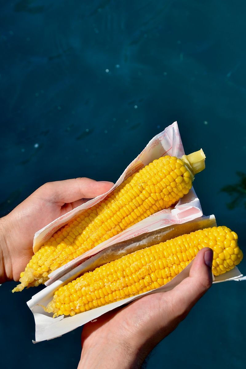 Two hands holding fresh yellow corn cobs wrapped, set against a vibrant blue background.