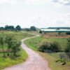 a dirt road in a field