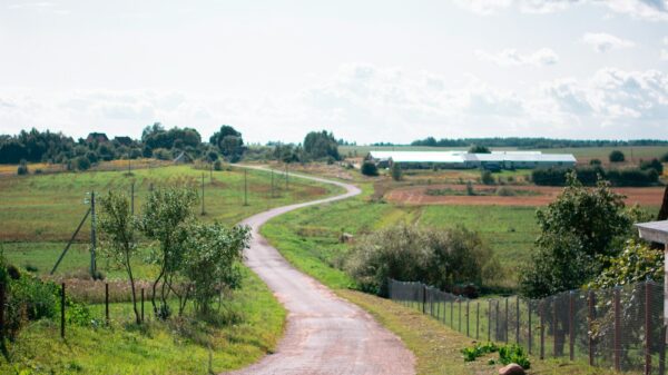 a dirt road in a field