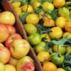 Vibrant display of fresh apples and citrus fruits at a market stall in Berlin, Germany.