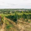 Plac pored vinarije Šapat u Starom Slankamenu na prodaju za 370.000 evra