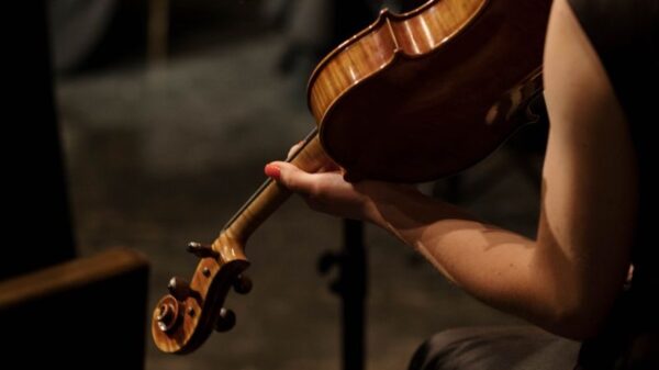 A close-up of a violinist playing during a concert, showcasing musical elegance.