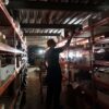 Industrija i trgovina zapošljavaju najviše radnika, više od 470.000 u Srbiji