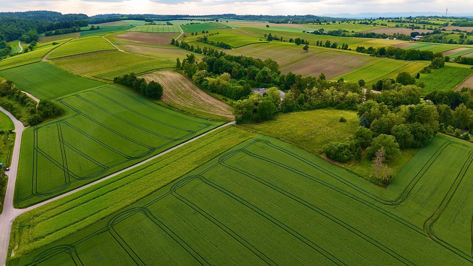 Aerial panorama showcasing vast green farmland fields in summer.