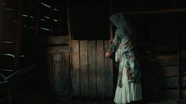 a woman in a white dress standing in a barn