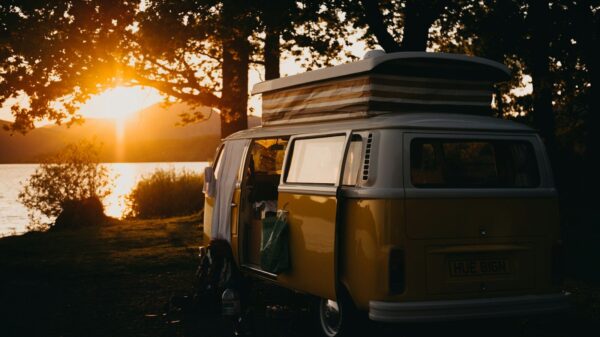 brown van under the tree during sunset