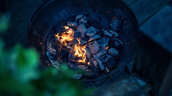 Pet toplotnih talasa u Londonu podiglo temperaturu na rekordnih 38,1 stepen – toplotni talasi u Londonu