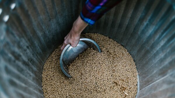 Cene peleta dostižu 44.000 dinara po toni zbog stalne potražnje