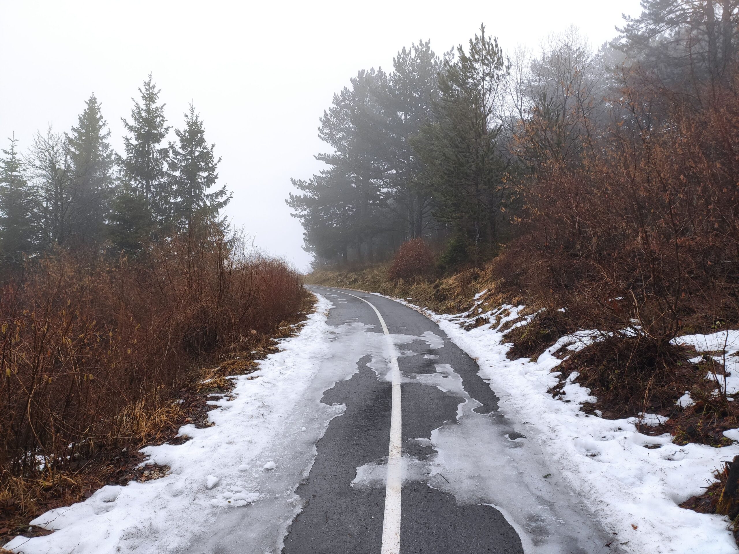 Koridori Srbije pokreću procenu uticaja za 45,82 km novog puta Vožd Karađorđe – Koridori Srbije procena uticaja