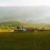 Italijanska vinska industrija izgubila Vitoria Freskobaldija, ključnu figuru razvoja sektora (VIDEO)