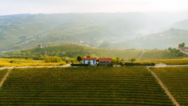 Italijanska vinska industrija izgubila Vitoria Freskobaldija, ključnu figuru razvoja sektora (VIDEO)