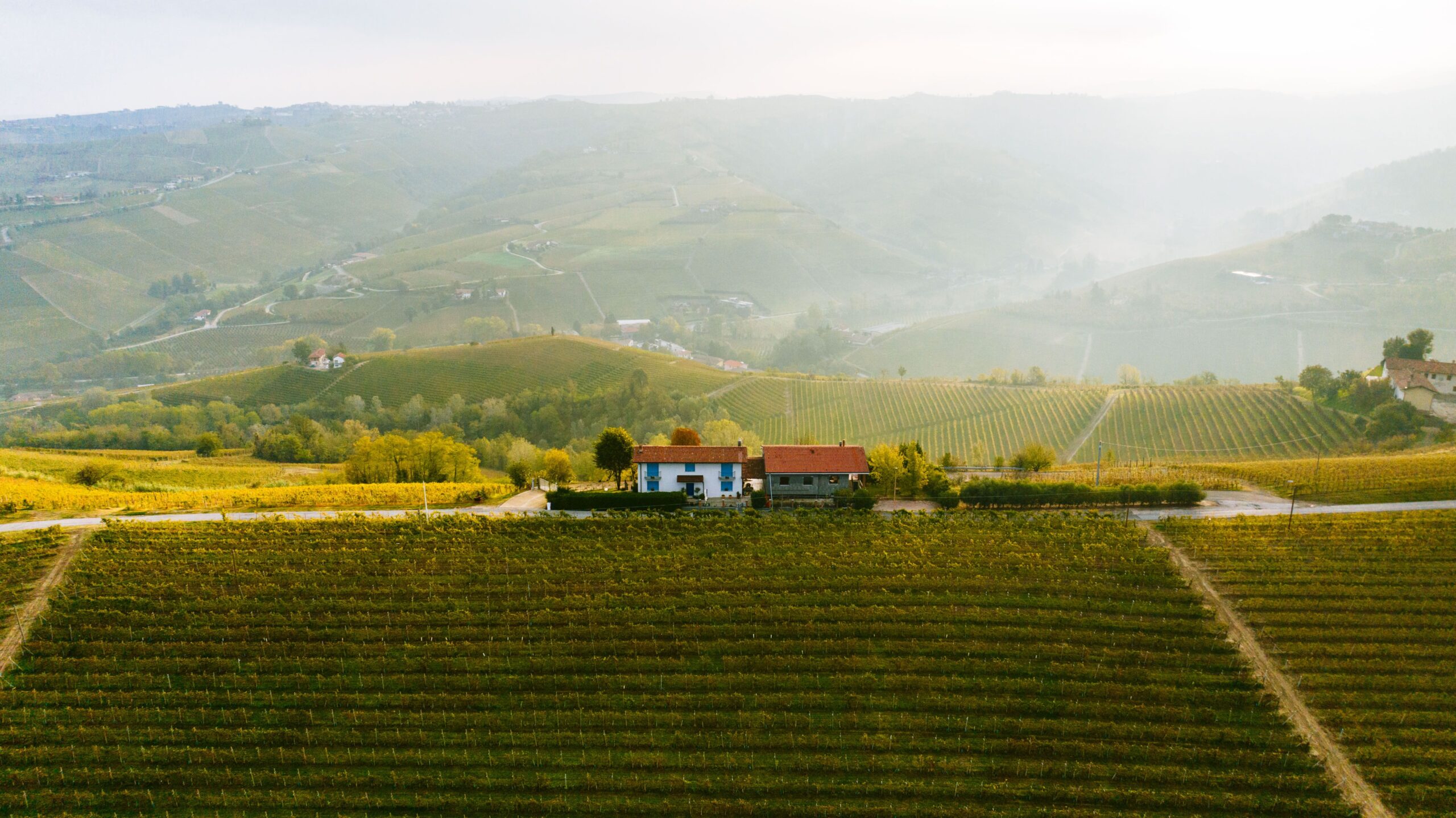 Italijanska vinska industrija izgubila Vitoria Freskobaldija, ključnu figuru razvoja sektora (VIDEO)