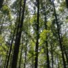 Meta pristaje na nagodbu do 18 milijardi dolara zbog tužbe o šteti mladima – nagodba Meta