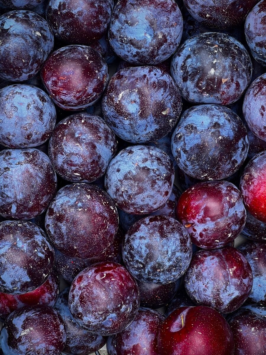A detailed close-up view of ripe, colorful plums showcasing their vibrant hues and fresh texture.