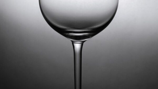 grayscale photo of wine glass