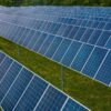 Contemporary blue photovoltaic panels pole mounted on grassy ground in rows in solar energy station
