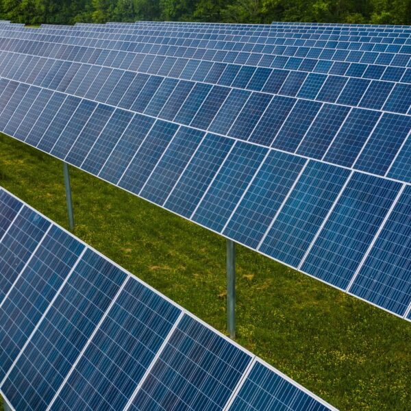 Contemporary blue photovoltaic panels pole mounted on grassy ground in rows in solar energy station